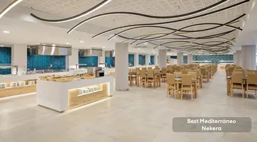 Best Mediterraneo