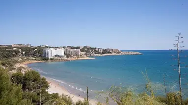 Best Negresco