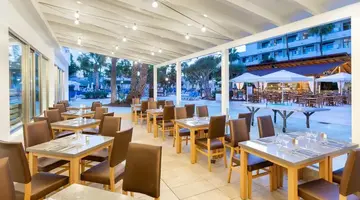 Best Tenerife