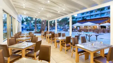 Best Tenerife