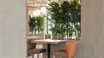 Best Triton