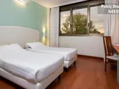 Best Western Air Hotel Linate