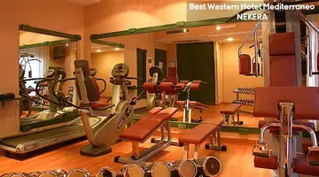 Best Western Hotel Mediterraneo