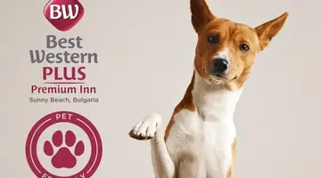 BEST WESTERN PLUS PREMIUM INN