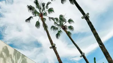Beverly Hilton