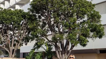 Beverly Hilton