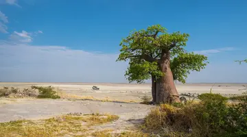 Bez Trwogi Po Bezdrożach: Botswana I Zimbabwe (Self-Drive)