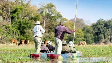 Bez Trwogi Po Bezdrożach: Botswana I Zimbabwe (Self-Drive)