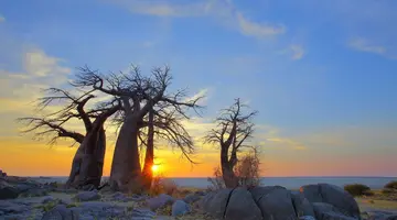 Bez Trwogi Po Bezdrożach: Botswana I Zimbabwe (Self-Drive)