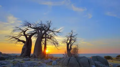 Bez Trwogi Po Bezdrożach: Botswana I Zimbabwe (Self-Drive)