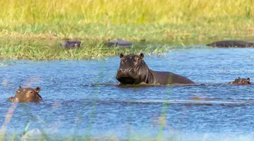 Bez Trwogi Po Bezdrożach: Botswana I Zimbabwe (Self-Drive)