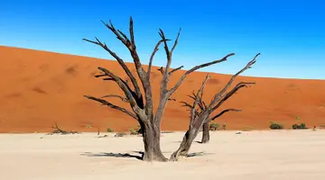 Bez Trwogi Po Bezdrożach Namibii (Self Drive)
