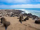 Bez Trwogi Po Bezdrożach Namibii (Self Drive)