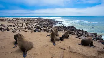 Bez Trwogi Po Bezdrożach Namibii (Self Drive)