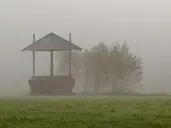 BIAŁOWIEŻA - 1 dzień