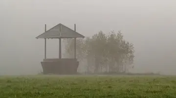 BIAŁOWIEŻA - 1 dzień