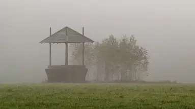 BIAŁOWIEŻA - 1 dzień