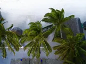 Bianco Azzurro