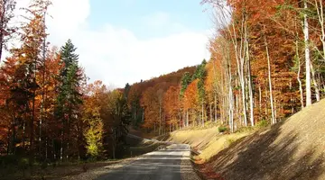 BIESZCZADY - 3 DNI