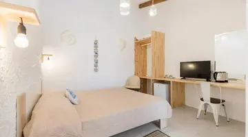 Bivalvia Beach Plus