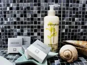 Bivalvia Beach Plus