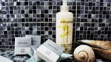 Bivalvia Beach Plus