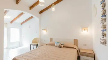 Bivalvia Beach Plus