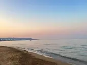 Bivalvia Beach Plus