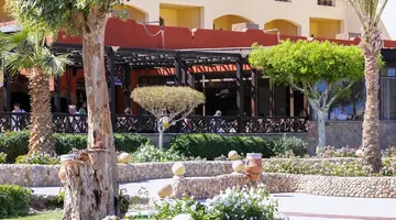 BLEND ELPHISTONE MARSA ALAM