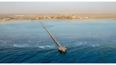 BLEND ELPHISTONE MARSA ALAM