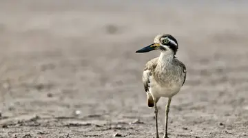 Bliżej ludzi, w zgodzie z naturą