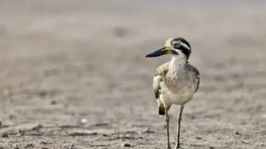 Bliżej ludzi, w zgodzie z naturą