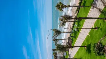 BLOOMING LOTUS RESORT