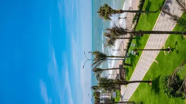 BLOOMING LOTUS RESORT