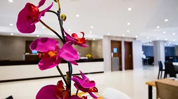 Blubay Apartments by ST Hotels