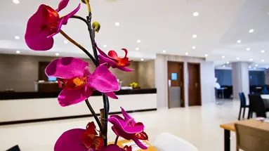 BluBay Apartments by ST Hotels