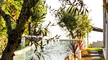 BLUE CARPET LUXURY SUITES