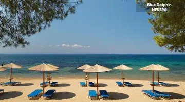 Blue Dolphin Hotel
