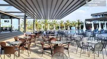 Blue Dolphin Hotel