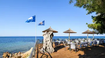 BLUE DOLPHIN HOTEL