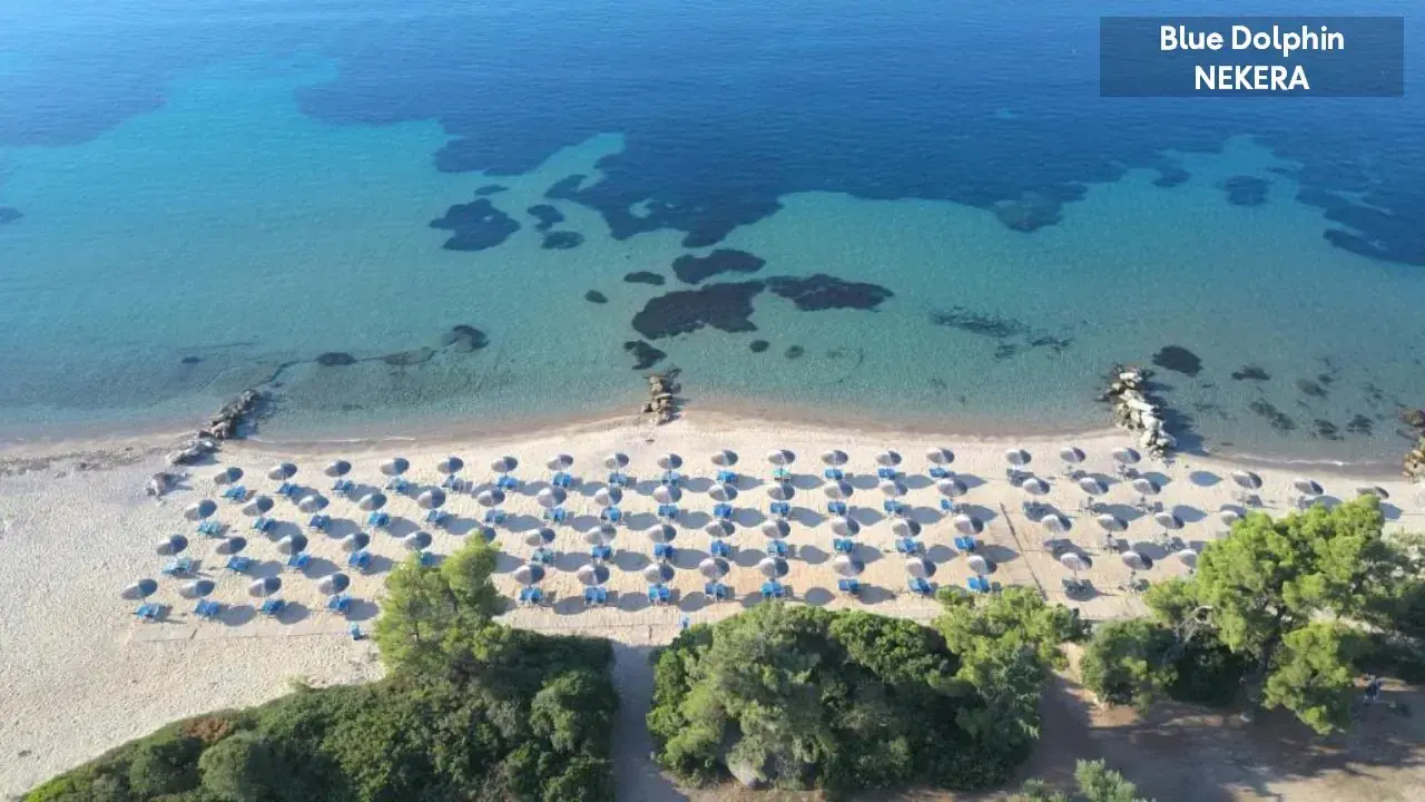 Blue Dolphin Hotel