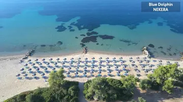 Blue Dolphin Hotel