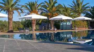 Blue Dolphin Resort Hotel