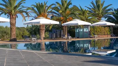 Blue Dolphin Resort Hotel