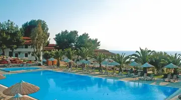 Blue Dolphin
