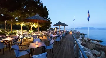 Blue Dolphin