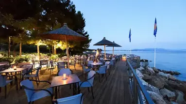 Blue Dolphin