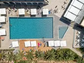 Blue Dolphin