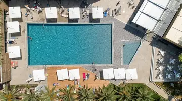 Blue Dolphin