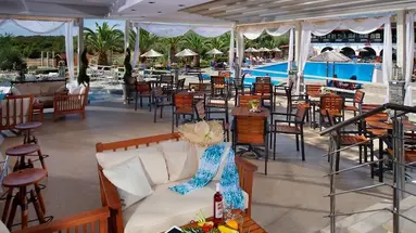 Blue Dolphin